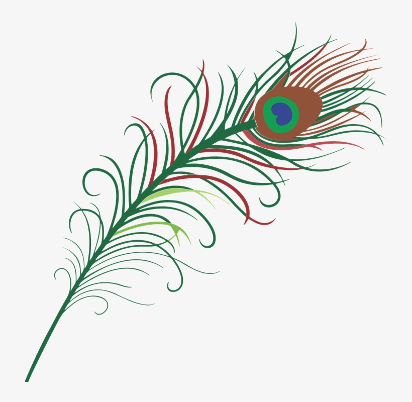 Pluma Pavo Real Png - Peacock Feather Cartoon Png, transparent png #5774497