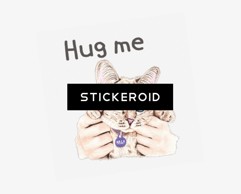 Buy - Duke Nukem Forever Box Art, transparent png #5774499