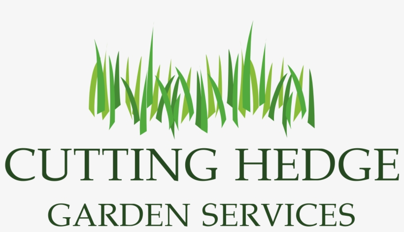 About Us - Vu Foods Pvt Ltd, transparent png #5779142