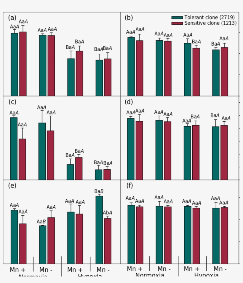 Gas Exchange And Pigment Levels In Leaves From Two - Alanine Transaminase Activity, transparent png #5781593
