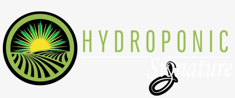 Final 02 [recovered], transparent png #5782315