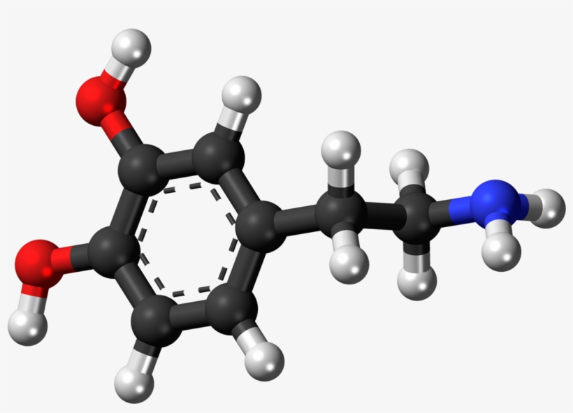 Amine Compounds (chemical Compounds), transparent png #5784841