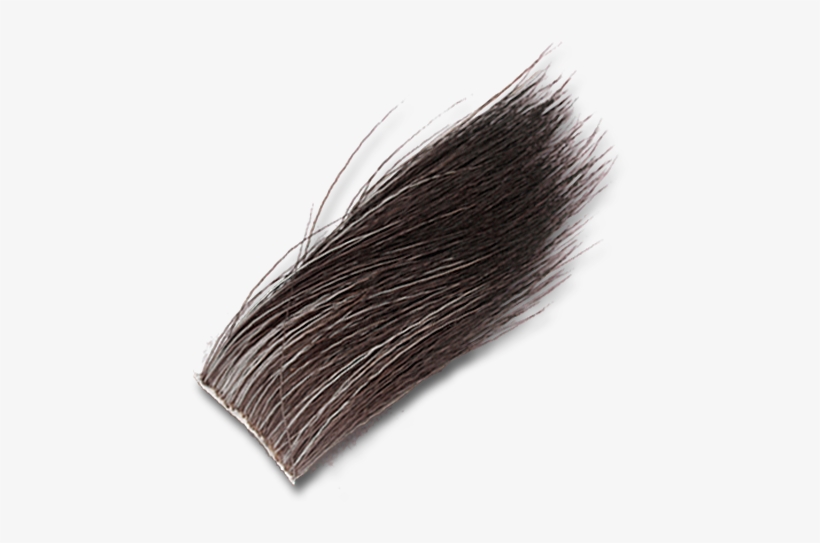 Moose Body Hair - Hair, transparent png #5785470
