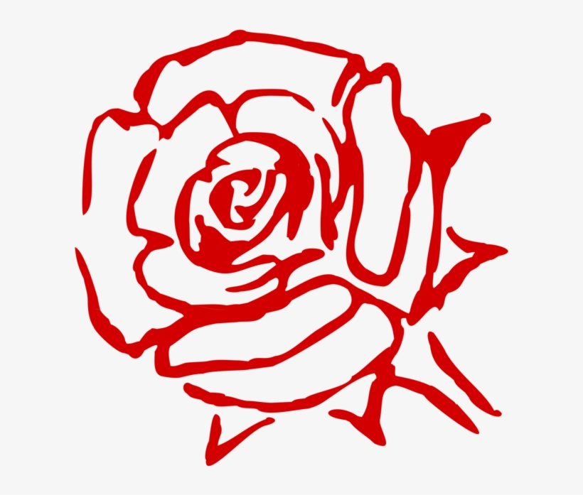 Rose Family Flower China Rose Garden Roses Cabbage - Art Line Red Rose, transparent png #5786038