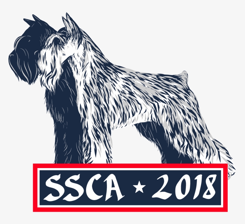 More Realistic With Texture - Small Terrier, transparent png #5786564