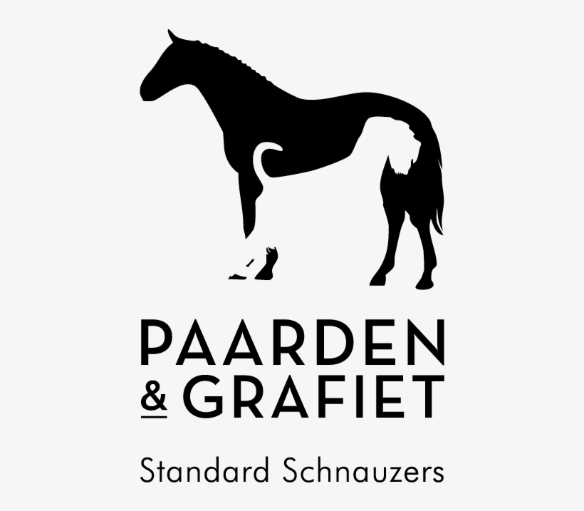 Pg Logos 2016 Standardschnauzers - Horse, transparent png #5786875