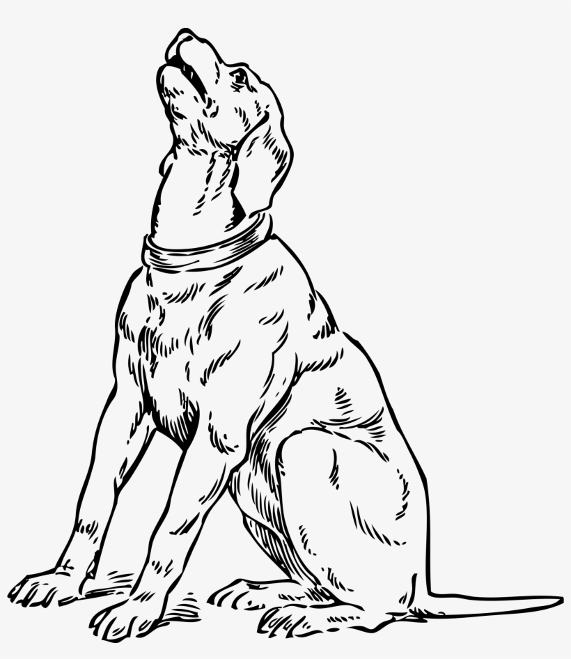 This Free Icons Png Design Of Barking Dog, transparent png #5787145