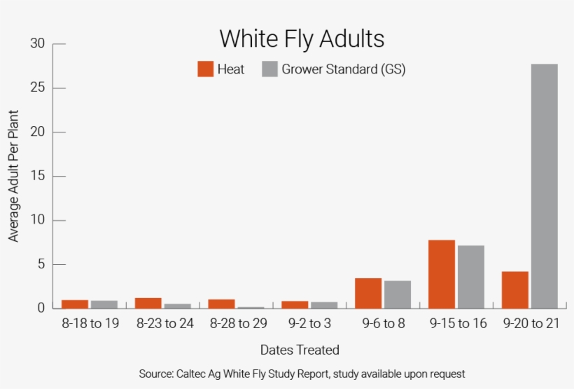 Results Of White Fly Adult Populations On Tomato Plants - Tomato, transparent png #5787148