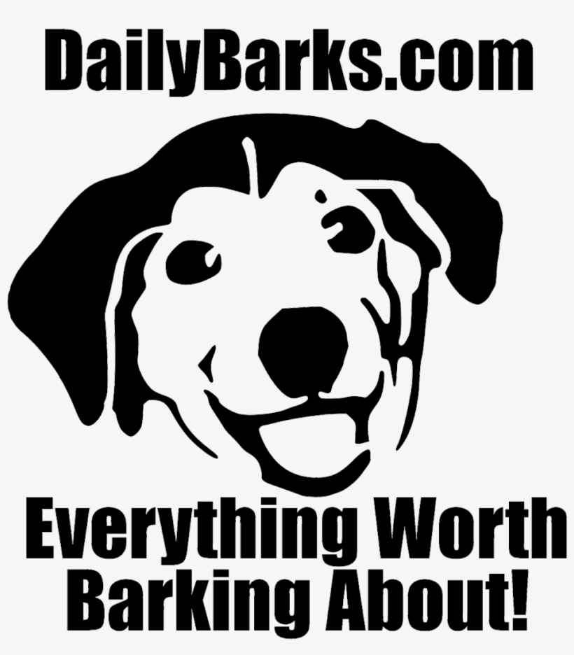 Daily Barks Daily Updates For Dog Lovers - Cute Dog Shower Curtain, transparent png #5787402