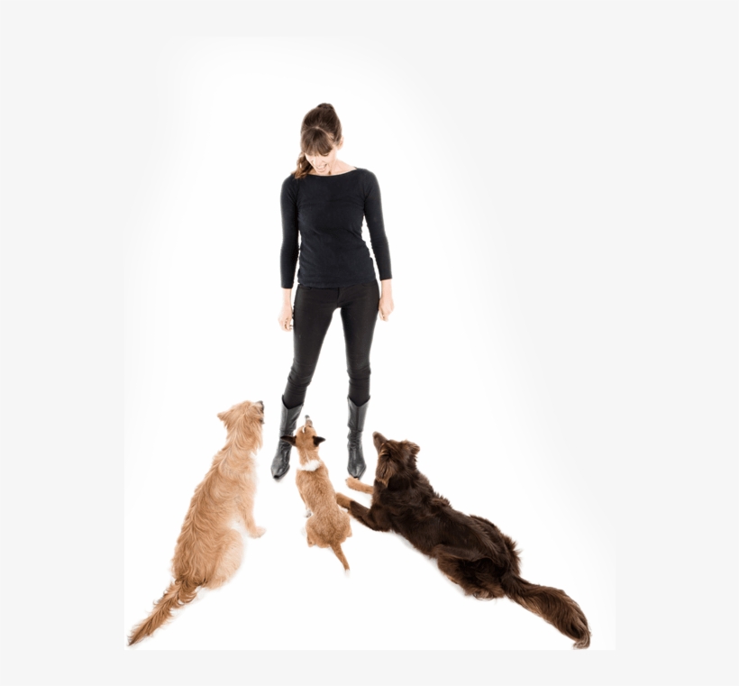 Let's Do This - Cat Jumps, transparent png #5788251