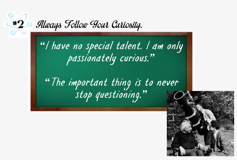 These - Dressage, transparent png #5788573