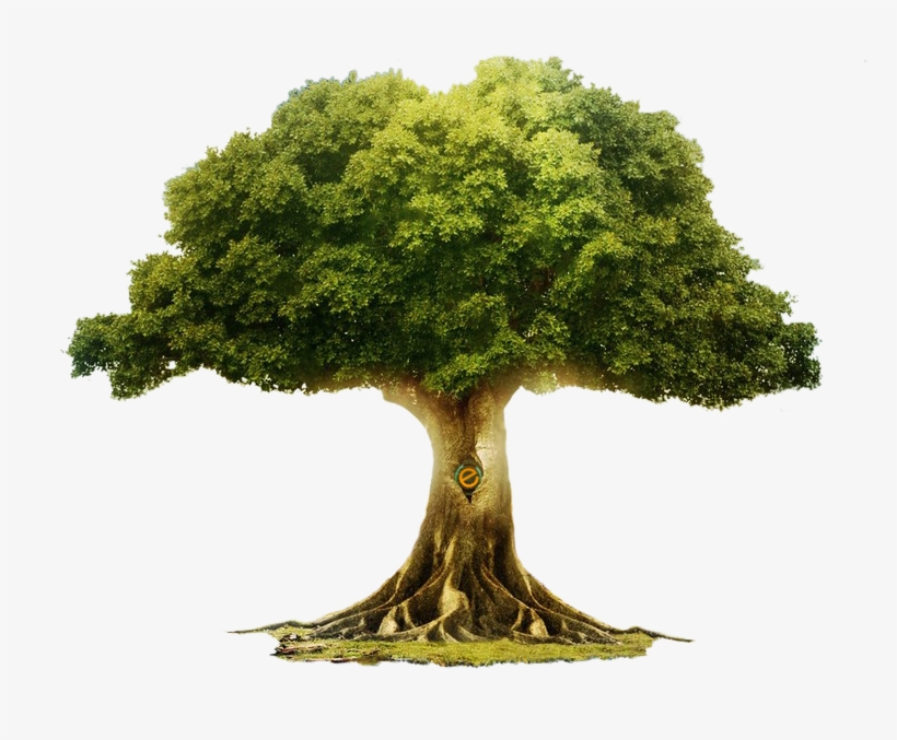 Etree - Grimms' Fairy Tales Jacob Grimm And Wilhelm Grimm, transparent png #5788817