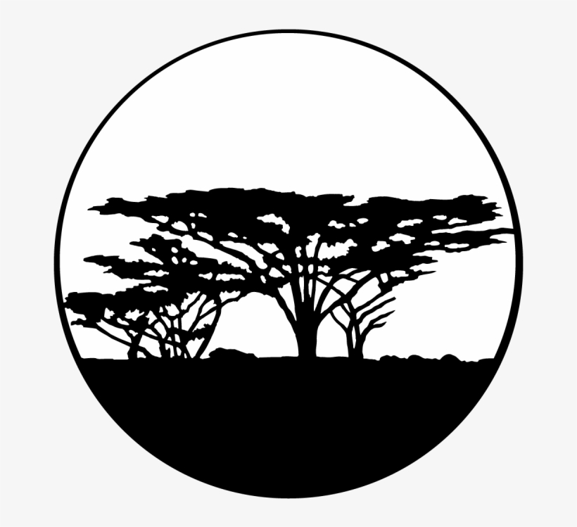 Trees - Africa - Apollo Trees Africa Steel Gobo Ms-4117, transparent png #5788932