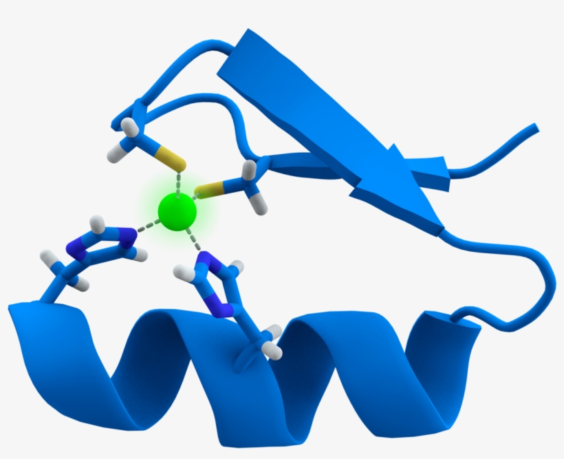 Zinc Finger Protein, transparent png #5789439