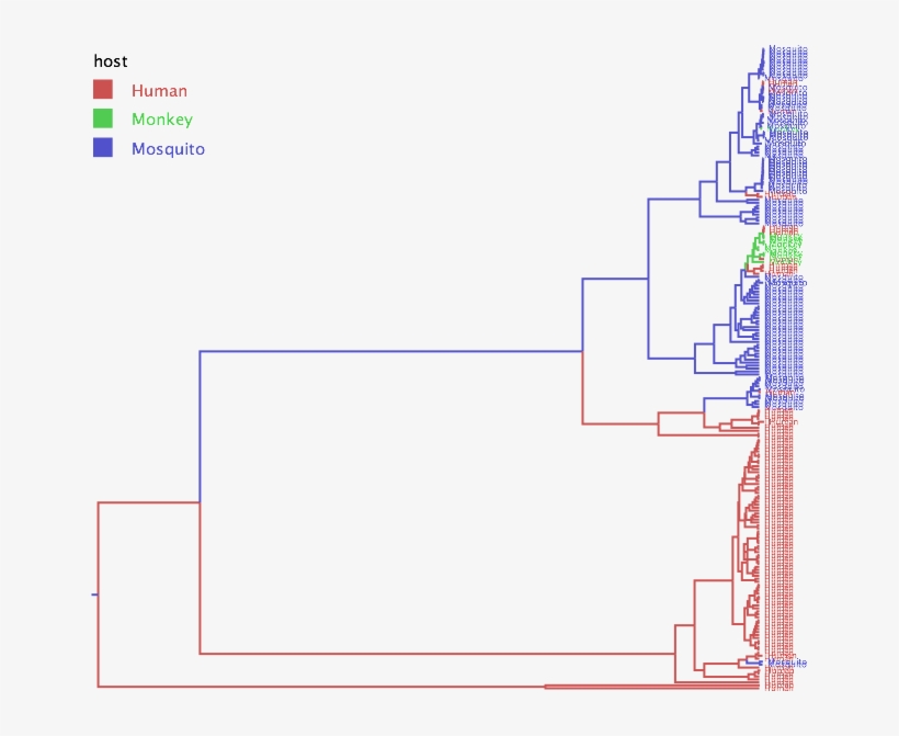 The Host Transmission Tree Shows That Yf Originates - Diagram, transparent png #5790523