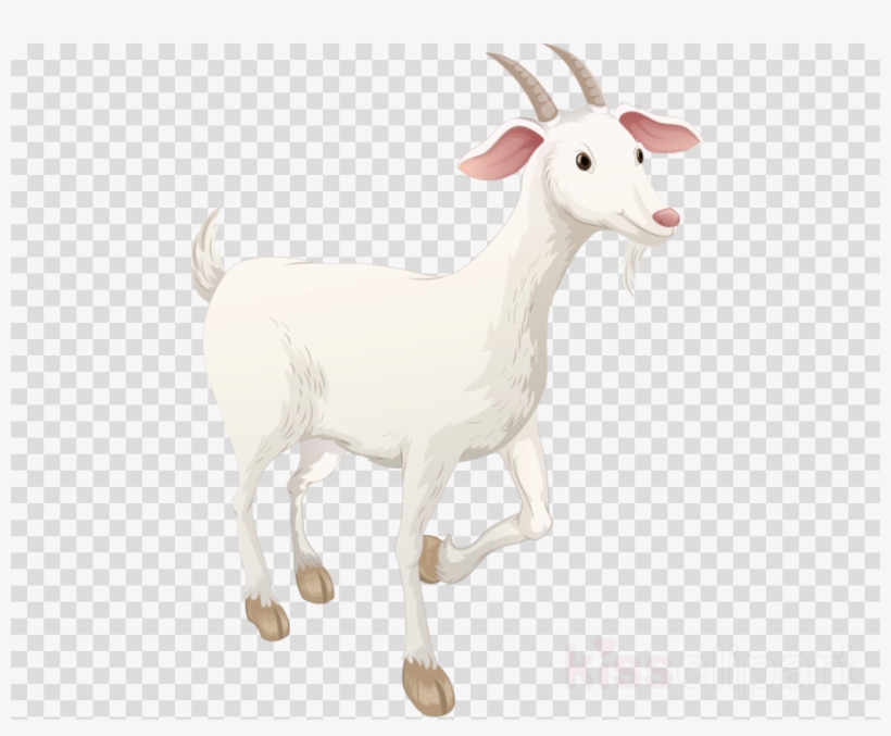 Goat Clipart Sheep Boer Goat Caprinae Ark Survival Evolved