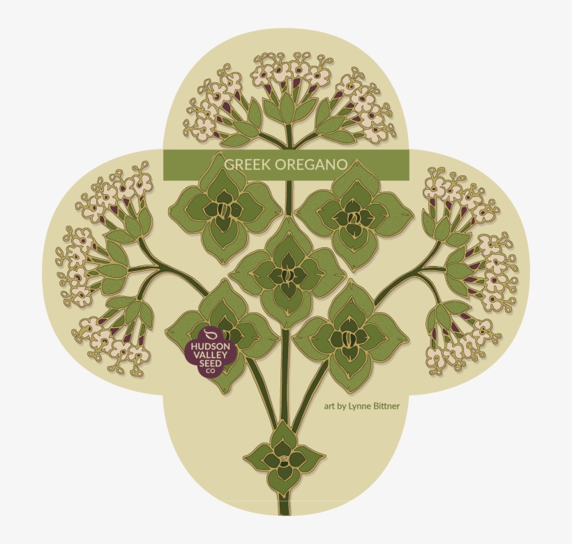 Organic Greek Oregano Seeds - Artificial Flower, transparent png #5793370