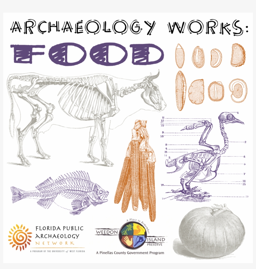 View Flyer - Food Archaeologist, transparent png #5797174