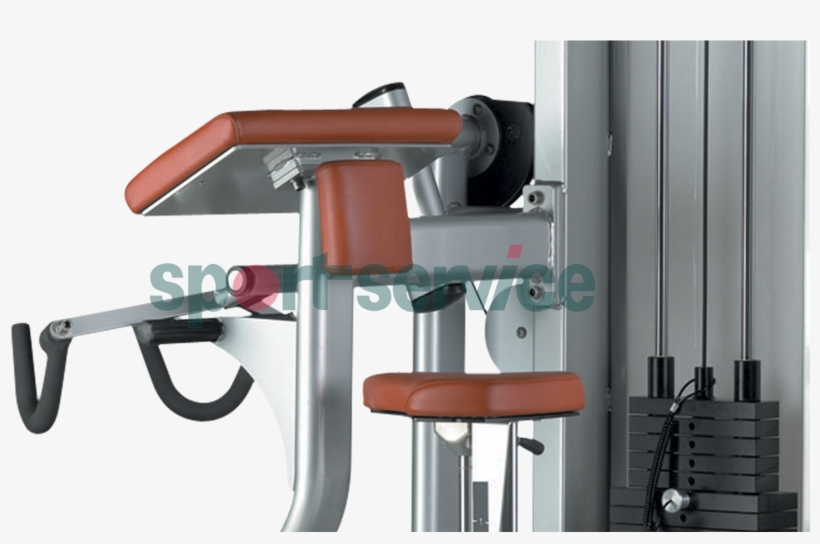 Biceps Curl X130 - Biceps Curl, transparent png #5797593