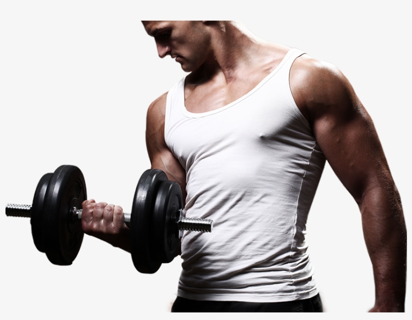 Individual & Group Fitness Programmes - Dalkey, transparent png #5797906