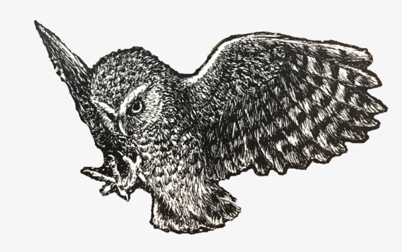 Owl - Great Horned Owl, transparent png #5798163