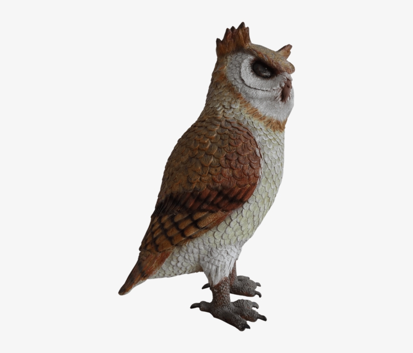 Bird Owl Animal Prop Life Size Resin Statue, transparent png #5798433