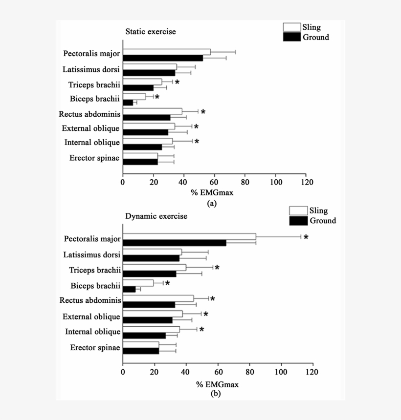 Comparison Of The Muscular Activity Levels During The, transparent png #5798524