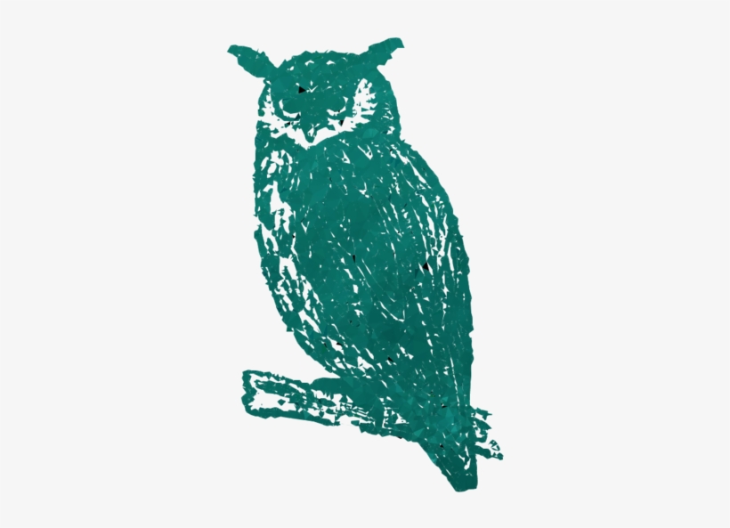 猫头鹰剪贴画猫头鹰海报 - Wildes Totem-tiereulen-gekritzel Grußkarte, transparent png #5798567