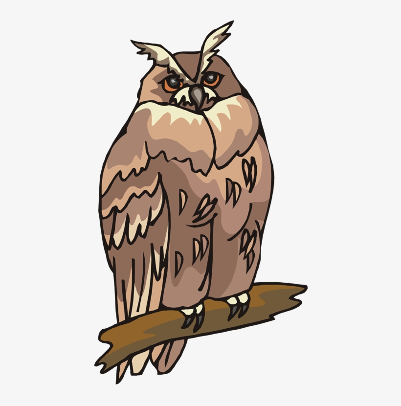 Free - Owl Animals Clipart, transparent png #5798905