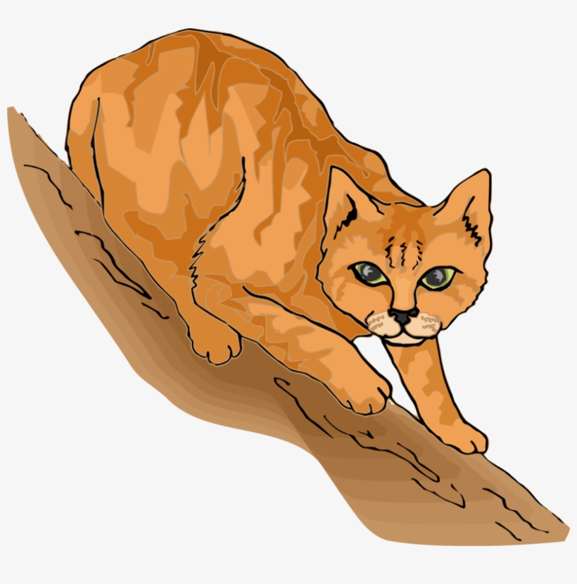 Persian Cat Wildcat Cat Tree Cartoon Purr - Cat In The Tree Cartoon, transparent png #5799746