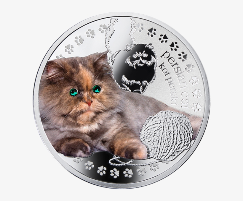 Niue 2014 Man's Best Friends -cats Series - Mennica Kot Europejski, transparent png #5799840