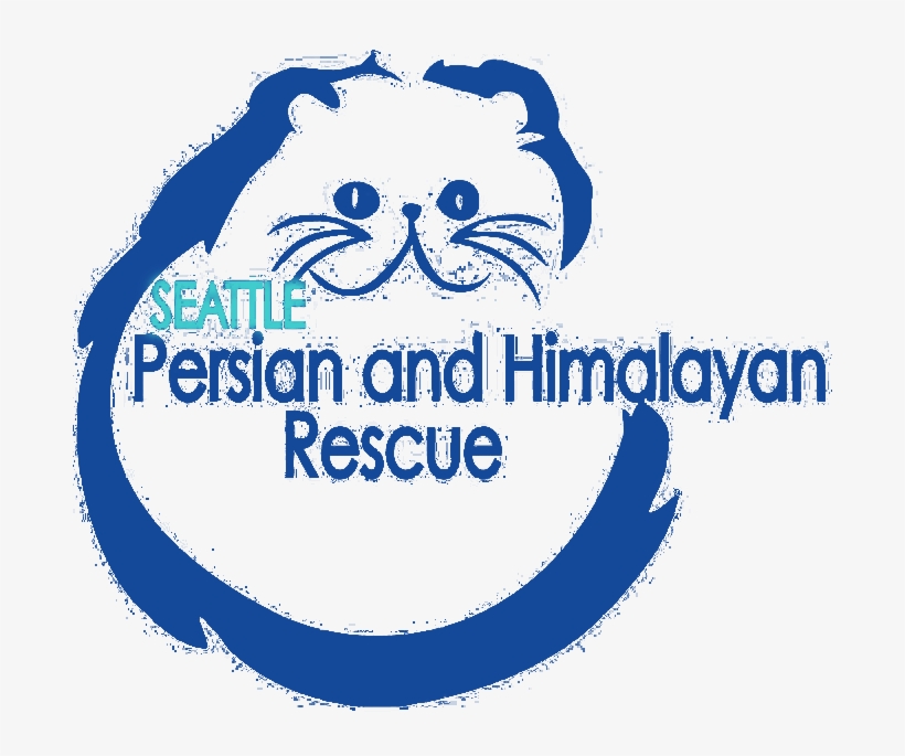 Sphr Logo - Persian Cat Logo, transparent png #5799894