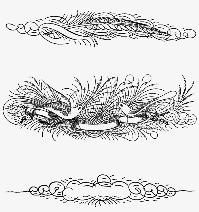 Digital Decorative Label Collage Sheet Download Png - Clip Art, transparent png #581141