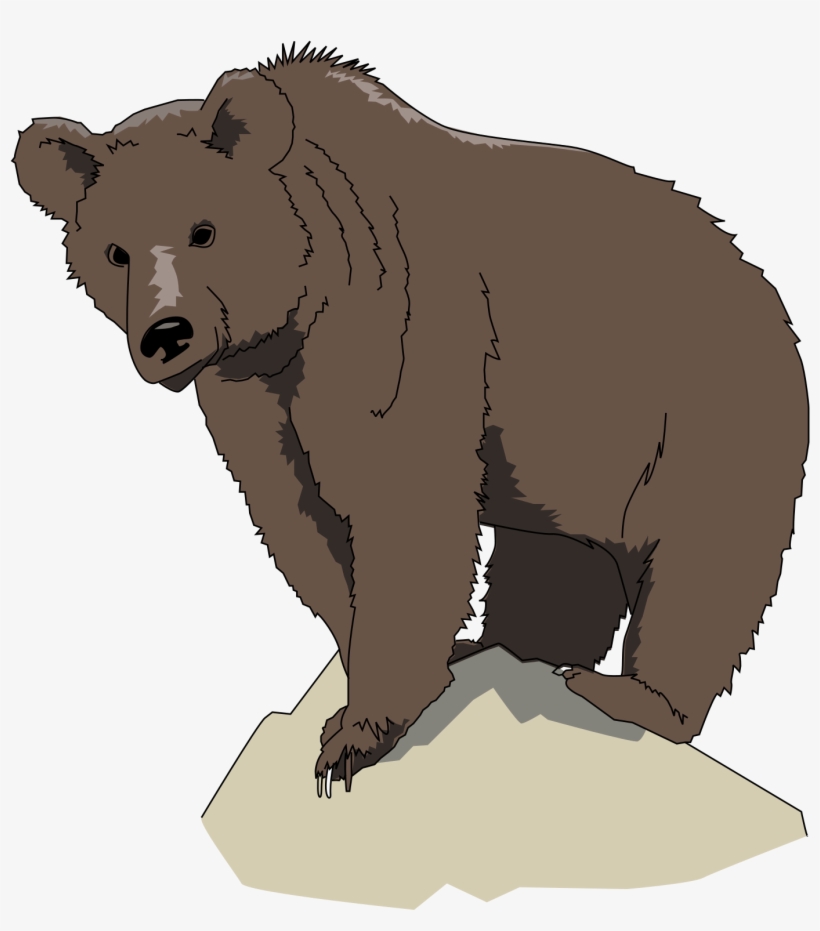 Brown Png Animals Pinterest Brownbear Brownbearpng - Brown Bear, transparent png #581885