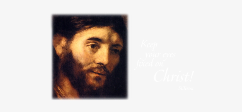 The Woman Who Follows A Call To Carmel Has A Deep Desire - Rembrandt Christ, transparent png #582730
