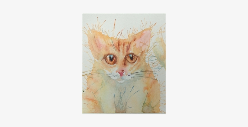 Tabby Cat, transparent png #582853