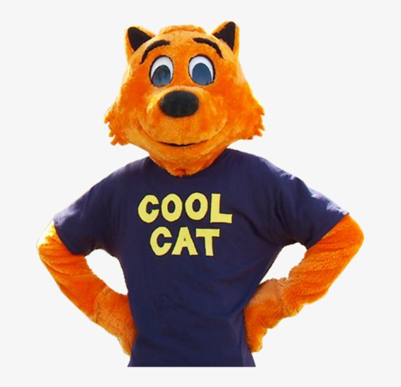 Cool Cat Transparent, transparent png #582934