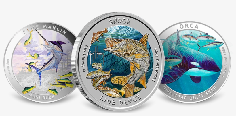 Guy Harvey Silver Rounds - Silver Medal, transparent png #583404