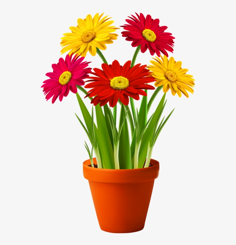 0 Floral Drawing, Flower Pots, Potted Flowers, Good - Flower With Pot Png, transparent png #583689