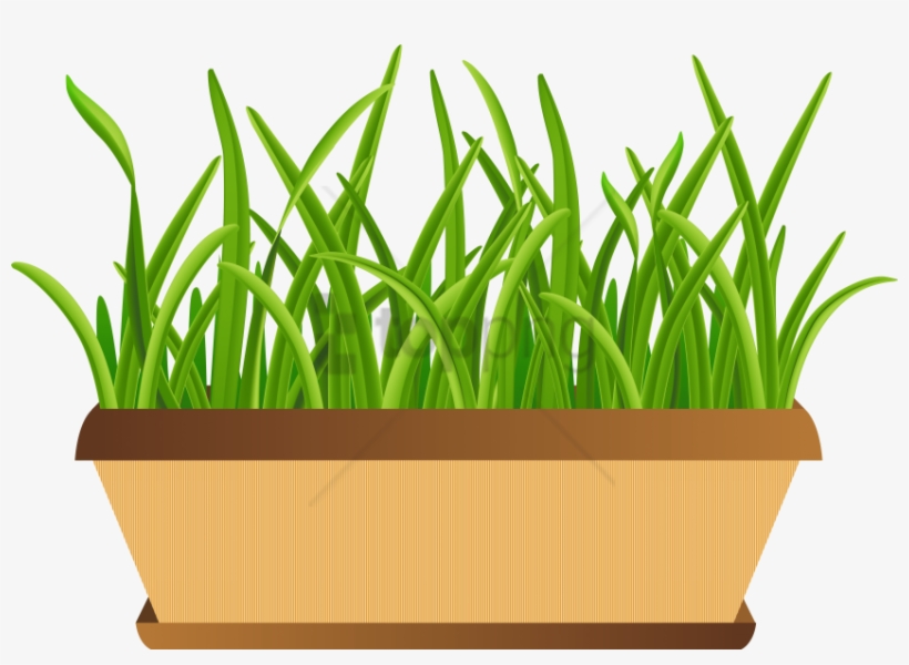 Flowerpot With Grass Transparent Png Clip Art Image - Grass Pot Clipart Png, transparent png #583711