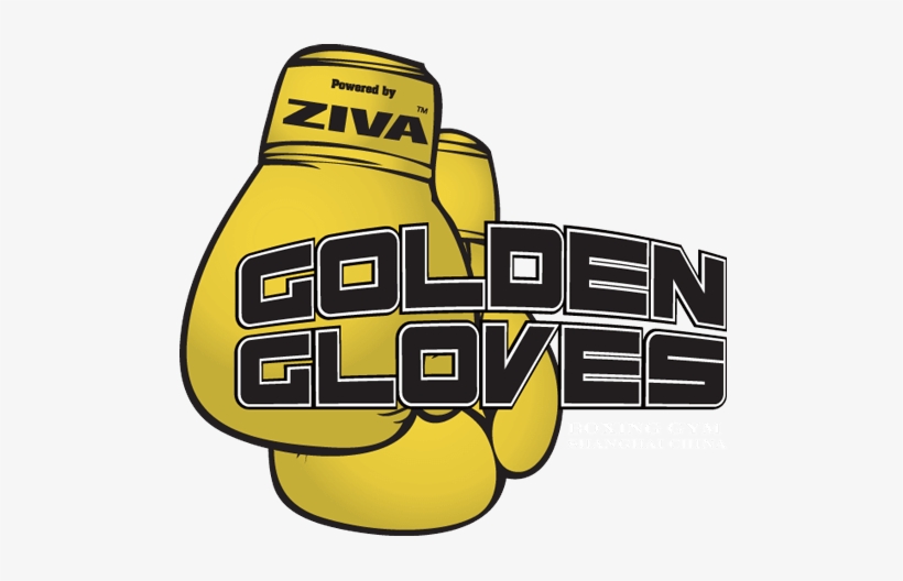 Golden Gloves Boxing Gym Hero Logo - Golden Gloves Boxing Logo, transparent png #583744