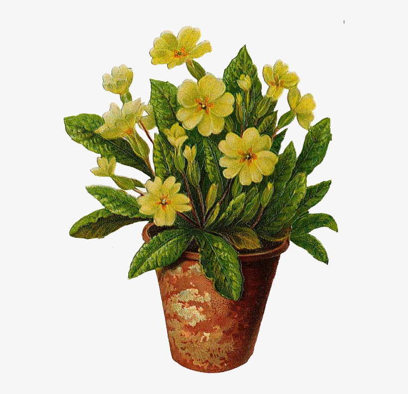 The Flower Pot Flowers Pot Free Download Clip Art Free - Tattoo Of Yellow Primrose, transparent png #583745