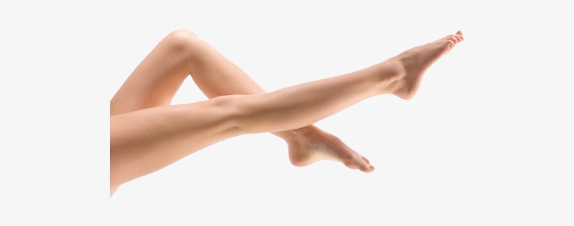 Female Leg Png Pic - Leg .png, transparent png #583873