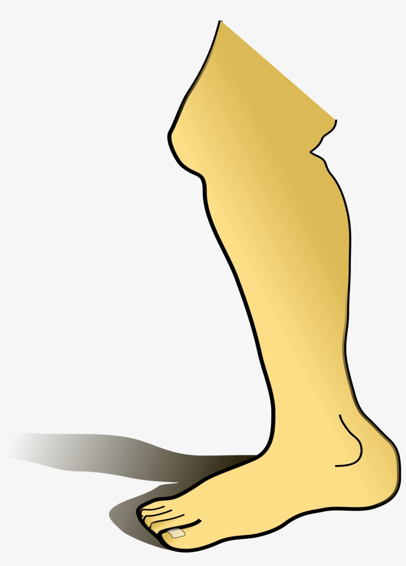 Leg Png, transparent png #583942