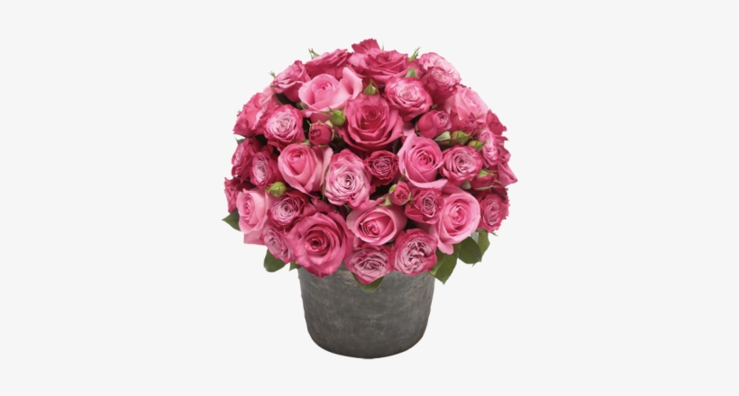 Rose Flower Pot Png - Pot Of Flowers Png, transparent png #583943