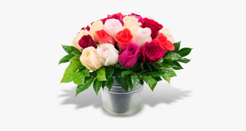 My Flower Pot - Flower With Pot Png, transparent png #584176