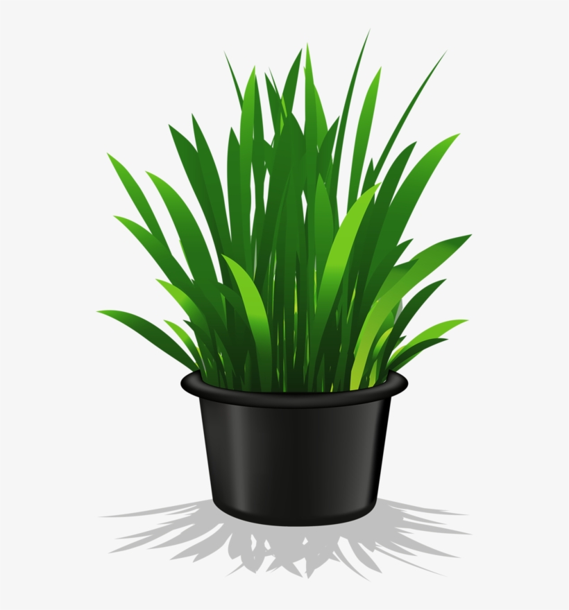 Image Freeuse Flower Pots Clipart - Potted Plant Clip Art Transparent, transparent png #584214