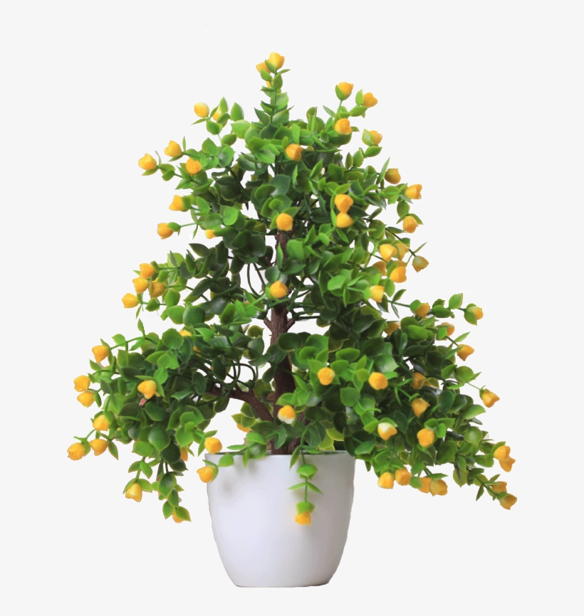 Lightbox Moreview - Flowerpot, transparent png #584437