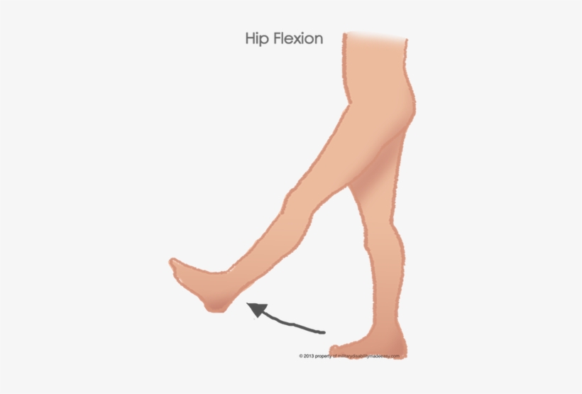Flexion Of The Hip 12 - Tights, transparent png #584441