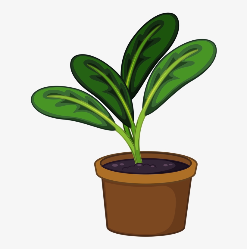 Flower Pot Png Garden Pinterest Clip Art - Plant In A Pot Png, transparent png #584463